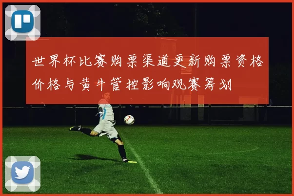 世界杯比赛购票渠道更新购票资格价格与黄牛管控影响观赛筹划
