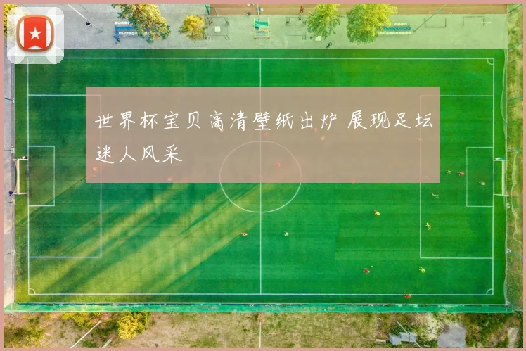 世界杯宝贝高清壁纸出炉 展现足坛迷人风采
