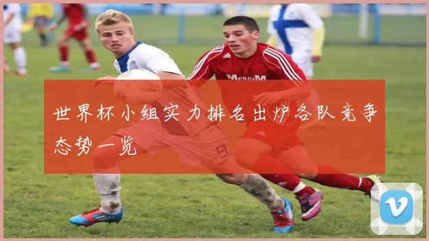 世界杯小组实力排名出炉各队竞争态势一览