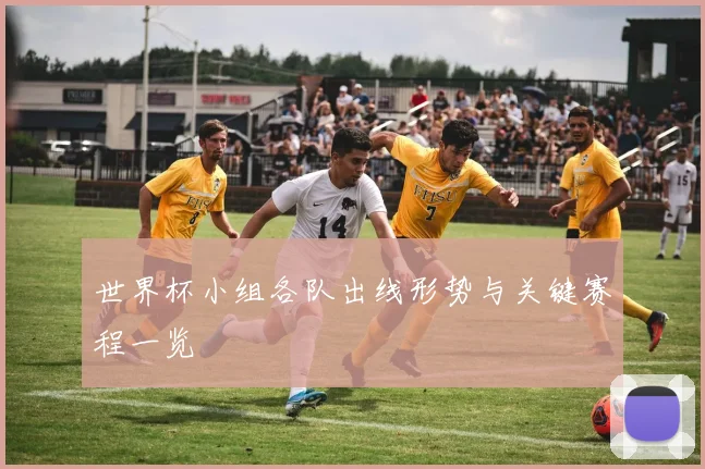世界杯小组各队出线形势与关键赛程一览