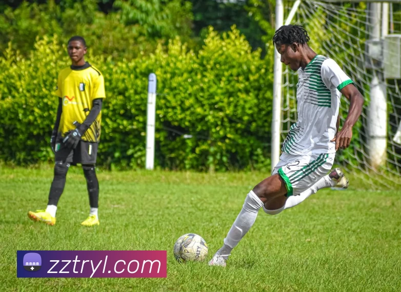 完美体育365(中国)官方网站服务体系